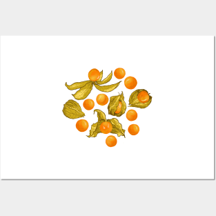 Physalis - Golden berries Posters and Art